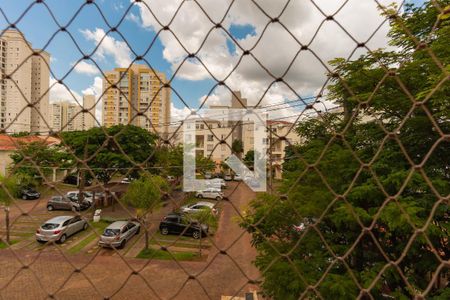 Vista da Sala de apartamento à venda com 3 quartos, 74m² em Jardim Nova Europa, Campinas