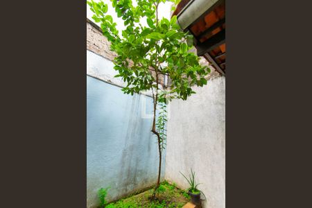 Casa à venda com 220m², 3 quartos e 3 vagasQuintal