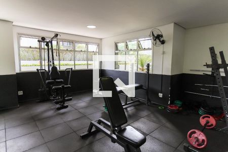 Apartamento para alugar com 62m², 2 quartos e 1 vagaAcademia