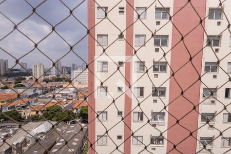 Apartamento para alugar com 76m², 3 quartos e 1 vagaVIsta Quarto 2