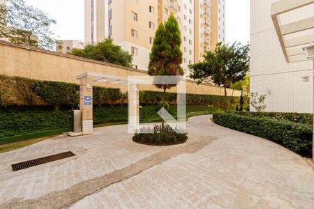 Apartamento para alugar com 49m², 2 quartos e 1 vagaÁrea Comum