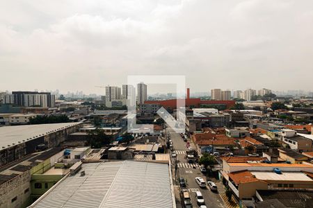 Apartamento à venda com 80m², 3 quartos e 2 vagasVista da Suíte