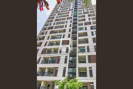 Studio para alugar com 22m², 1 quarto e sem vaga Studio para alugar com 22m², 1 quarto e sem vagaFachada