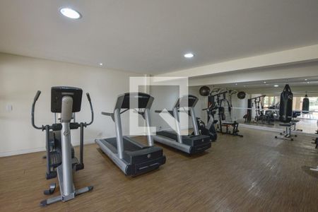 Casa de condomínio à venda com 247m², 4 quartos e 4 vagas Casa de condomínio à venda com 247m², 4 quartos e 4 vagasÁrea comum - Academia