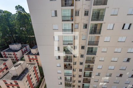 Apartamento para alugar com 55m², 2 quartos e 1 vagaVista da suíte 