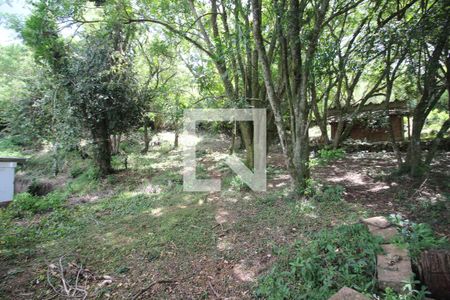 Casa à venda com 10000m², 3 quartos e 2 vagasQuintal