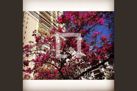 Apartamento à venda com 3 quartos, 115m² em Vila da Saúde, São Paulo