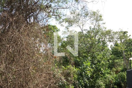 Casa de Condomínio para alugar com 2 quartos, 49m² em Da Graça, Cotia