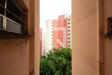 Apartamento para alugar com 60m², 2 quartos e 1 vagaVista da Área de Serviço