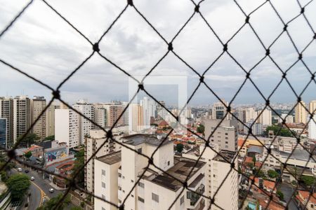 Apartamento à venda com 256m², 4 quartos e 6 vagasVista da Varanda da Suíte 4