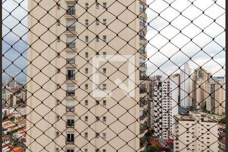 Apartamento à venda com 256m², 4 quartos e 6 vagasVista da Varanda da Suíte 1