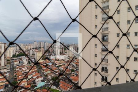 Apartamento à venda com 256m², 4 quartos e 6 vagasVista da Suíte 3 - Americana