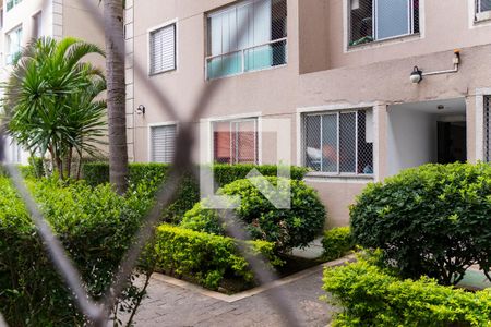 Apartamento à venda com 59m², 2 quartos e 1 vagaÁrea de Serviço - Vista