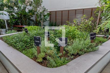 Studio à venda com 50m², 1 quarto e 1 vaga Studio à venda com 50m², 1 quarto e 1 vagaQuintal Orgânico