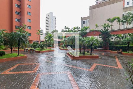 Apartamento para alugar com 79m², 3 quartos e 2 vagasÁrea de Circulação