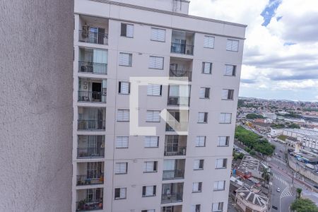 Apartamento para alugar com 56m², 2 quartos e 1 vagaVista da área de serviço 