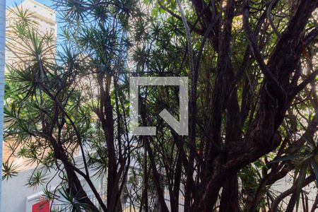 Apartamento à venda com 171m², 3 quartos e 1 vagaQuarto 2