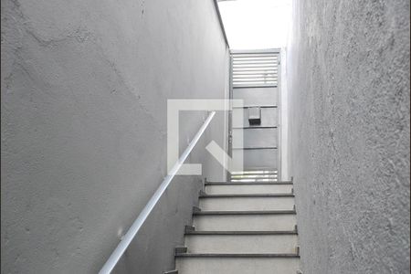 Entrada de casa para alugar com 1 quarto, 36m² em Vila Mazzei, São Paulo
