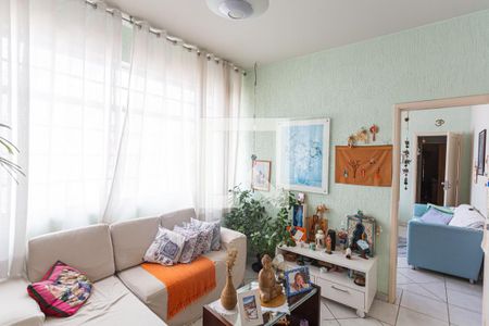 Sala de apartamento à venda com 3 quartos, 85m² em Renascença, Belo Horizonte