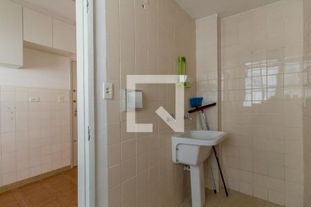 Lavanderia de apartamento para alugar com 2 quartos, 63m² em Vila Mariana, São Paulo
