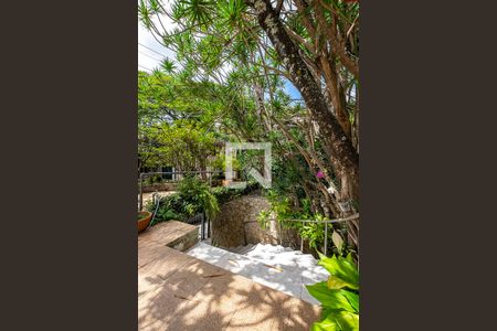 Casa para alugar com 600m², 3 quartos e 4 vagasQuintal - Frente