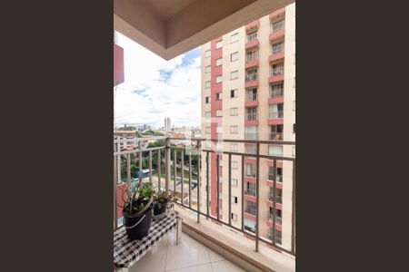 Varanda de apartamento à venda com 3 quartos, 76m² em Vila Carlos de Campos, São Paulo