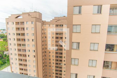 Apartamento à venda com 72m², 3 quartos e 1 vaga Apartamento à venda com 72m², 3 quartos e 1 vagaQuarto 3 - Vista