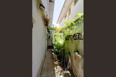 Casa à venda com 150m², 5 quartos e 2 vagasQuintal