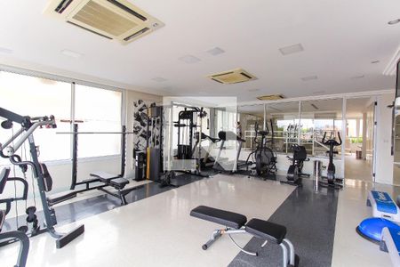 Apartamento à venda com 228m², 3 quartos e 4 vagas Apartamento à venda com 228m², 3 quartos e 4 vagasÁrea comum - Academia