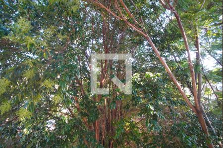 Sala_Vista  de apartamento para alugar com 3 quartos, 63m² em Passo D’areia, Porto Alegre