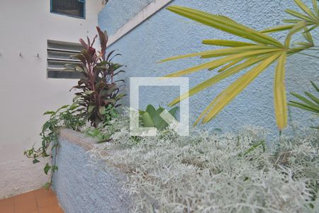 Casa para alugar com 205m², 3 quartos e 3 vagas Casa para alugar com 205m², 3 quartos e 3 vagasQuintal