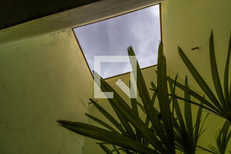 Casa à venda com 270m², 5 quartos e 4 vagas Casa à venda com 270m², 5 quartos e 4 vagasJardim de Inverno