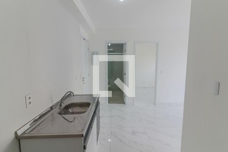 Cozinha e Lavanderia de apartamento para alugar com 2 quartos, 39m² em Vila Butantã, São Paulo