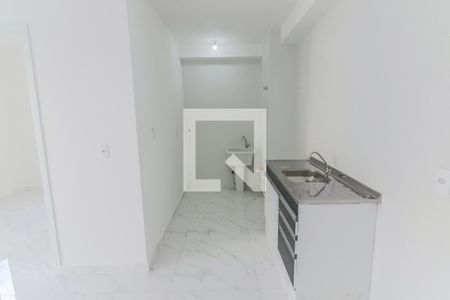 Cozinha e Lavanderia de apartamento para alugar com 2 quartos, 39m² em Vila Butantã, São Paulo