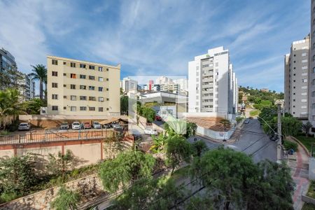 Sala de apartamento à venda com 2 quartos, 82m² em Buritis, Belo Horizonte