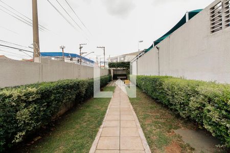 Condomínio de apartamento à venda com 3 quartos, 97m² em Vila Carrão, São Paulo