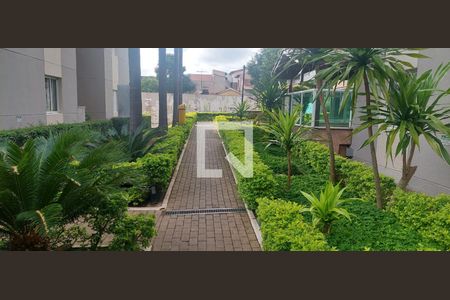 Área comum de apartamento à venda com 3 quartos, 62m² em Vila Antonieta, São Paulo