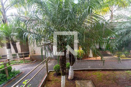 Vista da Sala de apartamento à venda com 1 quarto, 37m² em Parque São Vicente, Santo André