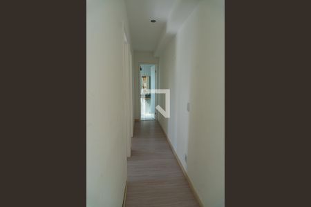 Corredor de apartamento para alugar com 2 quartos, 49m² em Jardim Samambaia, Campinas