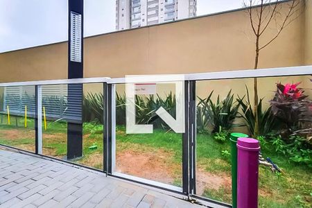 Studio para alugar com 35m², 1 quarto e sem vaga Studio para alugar com 35m², 1 quarto e sem vagaEspaço pet