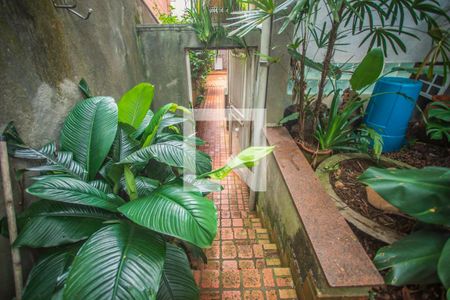 Casa à venda com 235m², 3 quartos e sem vagaCorredor externo