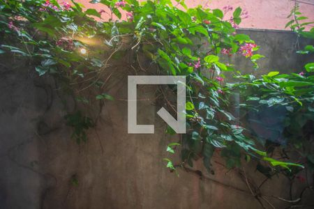 Casa à venda com 235m², 3 quartos e sem vagaVista