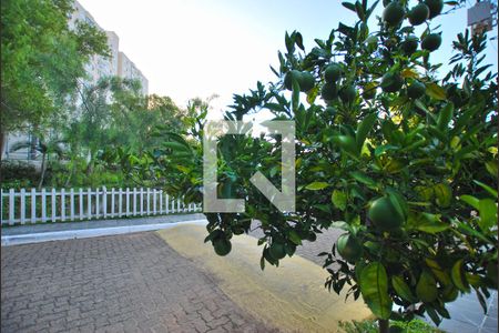 Casa de condomínio à venda com 117m², 2 quartos e 2 vagashttps://youtu.be/eEj9AmU1CV0