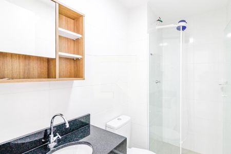 Banheiro de apartamento para alugar com 1 quarto, 25m² em Santo Amaro, São Paulo