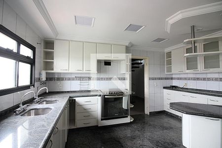 Apartamento para alugar com 500m², 4 quartos e 6 vagasCozinha