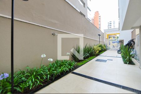 Studio para alugar com 25m², 1 quarto e sem vaga Studio para alugar com 25m², 1 quarto e sem vagaÁrea comum - Jardim