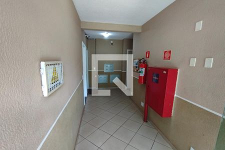 Apartamento para alugar com 47m², 2 quartos e 1 vaga Apartamento para alugar com 47m², 2 quartos e 1 vagaHall do Bloco