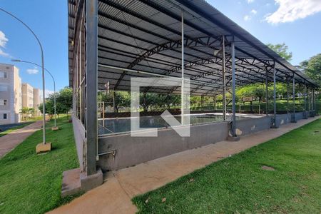 Apartamento para alugar com 47m², 2 quartos e 1 vaga Apartamento para alugar com 47m², 2 quartos e 1 vagaQuadra Esportiva