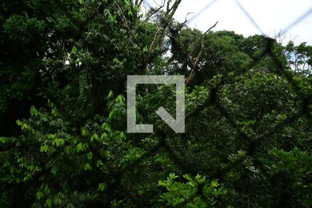 Vista da sala de apartamento para alugar com 2 quartos, 55m² em Jardim Caiapiá, Cotia