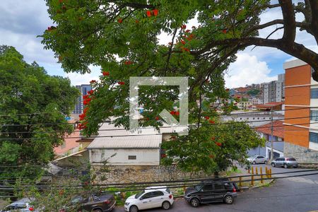 Vista da Sala de Estar de apartamento à venda com 3 quartos, 129m² em São Lucas, Belo Horizonte